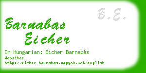 barnabas eicher business card