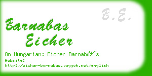 barnabas eicher business card